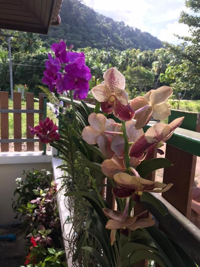 Orchid Pool -villa 4 Bedrooms Villa